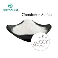 Chondroitino sulfato milteliai