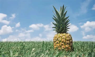 Kas yra bromelaino milteliai?