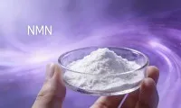Koks yra geriausias NMN priedas?
