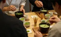 „Matcha“ milteliai, kuriais galite pasitikėti